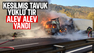 Kesilmiş tavuk yüklü tır yandı