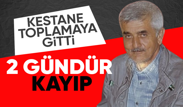 Kestane toplamaya giden yaşlı adam 2 günüdr kayıp