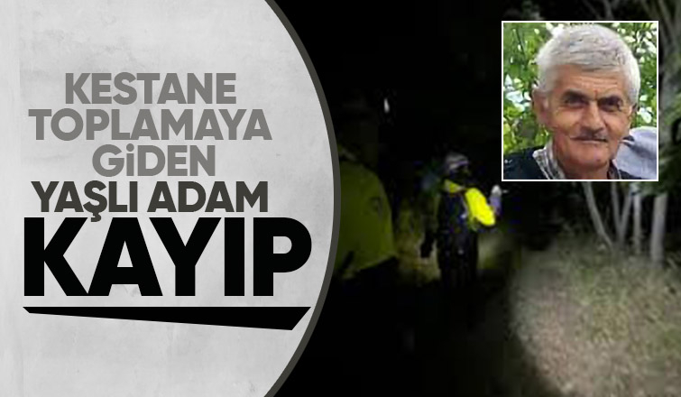 Kestane toplamaya gitti haber alınamıyor