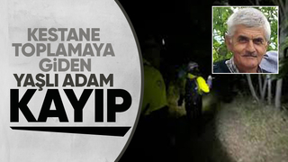 Kestane toplamaya gitti haber alınamıyor