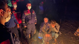 Kestane toplarken kaybolan kadın bulundu