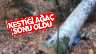 Kestiği ağaç sonu oldu