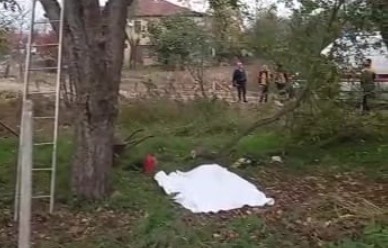 Kestiği ağaç sonu oldu