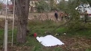 Kestiği ağaç sonu oldu