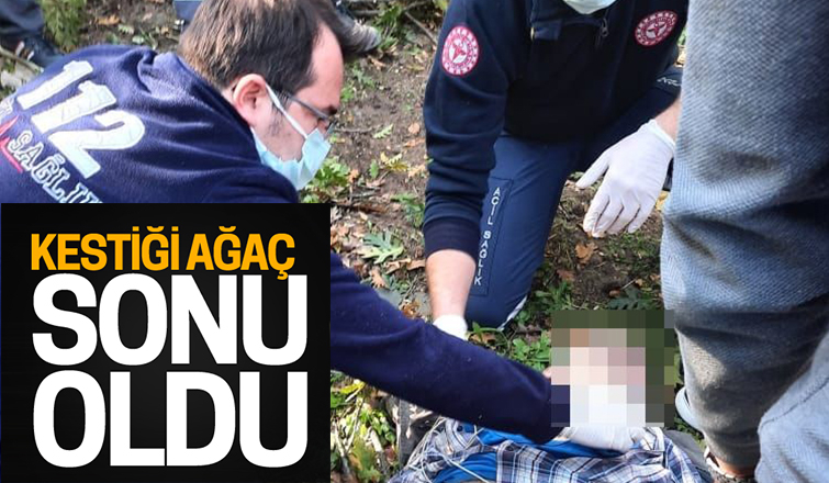 Kestiği ağacın altında can verdi