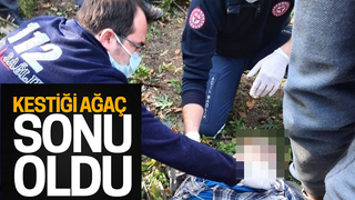 Kestiği ağacın altında can verdi