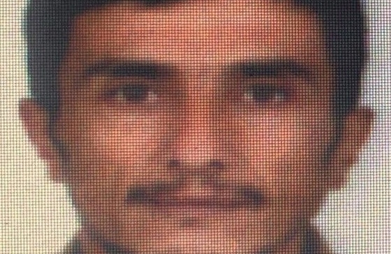 Kestiği ağacın altında can verdi