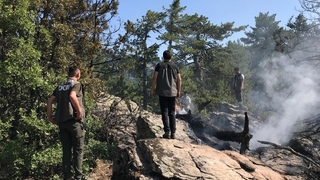 Kıbrıscık’ta orman yangını büyümeden söndürüldü