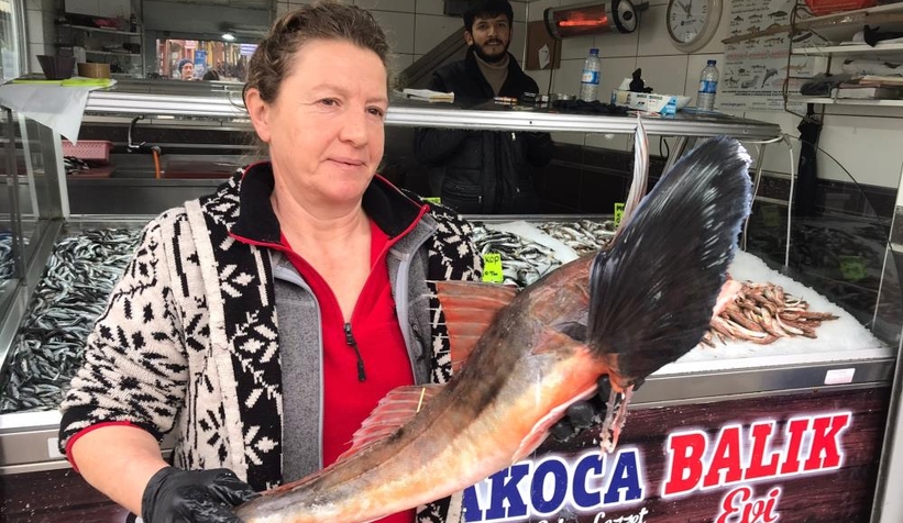 Kilosu 250 liradan tezgahta yerini aldı