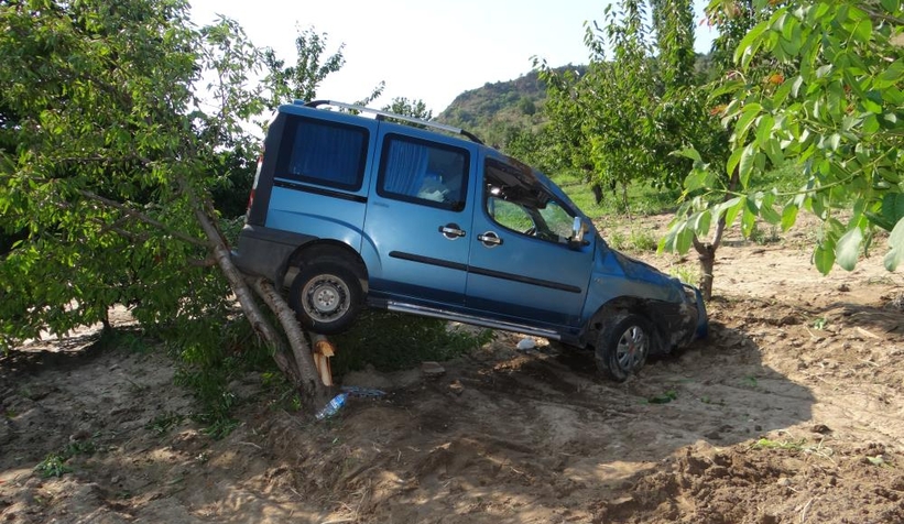 Kiraz bahçesine uçtu