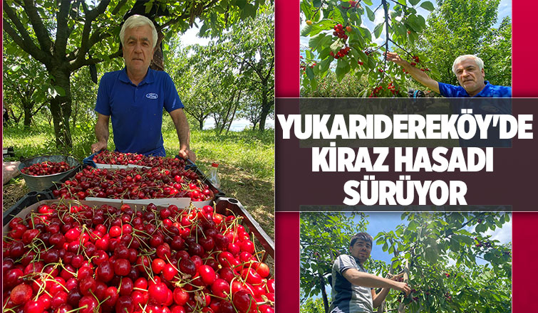 Kiraz yüzleri güldürdü