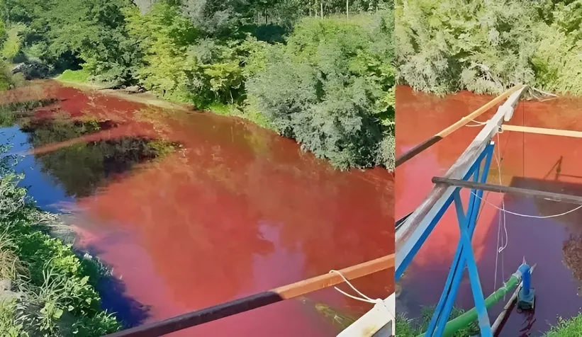 Kirlilik tepkilerinin hedefindeki Müdüre şaşırtan terfi