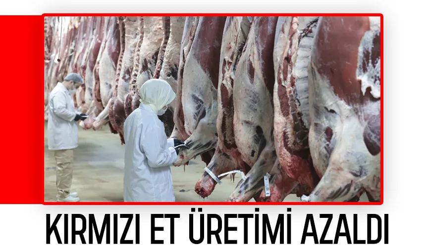Kırmızı et üretiminde büyük düşüş