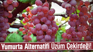 Kırmızı üzüm çekirdeği yumurta yerine kullanılacak!