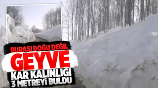 Kirpiyan Yaylası'nda doğuyu aratmayan manzara