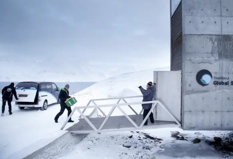 Kıyamet Kasası’nda 6 bin farklı tohum var