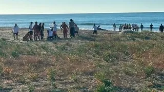 Kızı için denize atlayan babanın durumu kritik