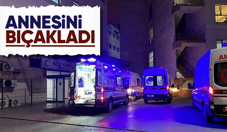 Kızının bıçakladığı kadın yaralandı