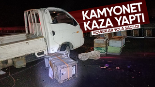KMO'da arı kovanı yüklü kamyonet kaza yaptı