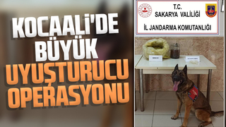 Kocaali'de büyük uyuşturucu operasyonu