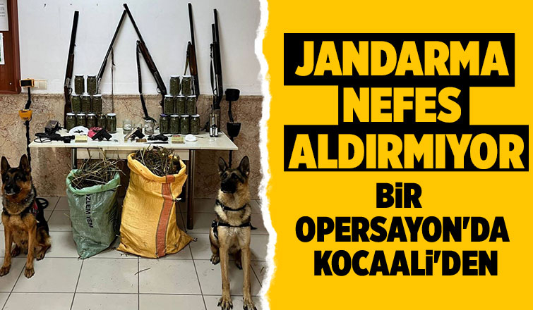 Kocaali'de uyuşturucu baskını