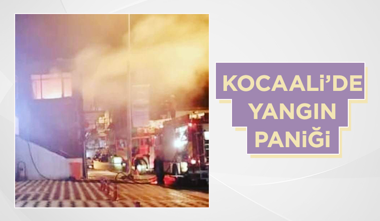 Kocaali'de yangın paniği