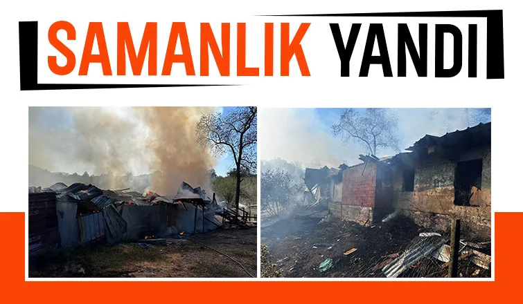 Kocaali'de yangın