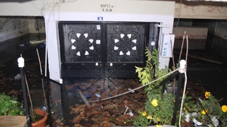 Kocaeli'de lodos can aldı