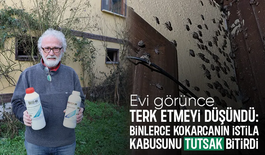 Kokarca kabusu son buldu