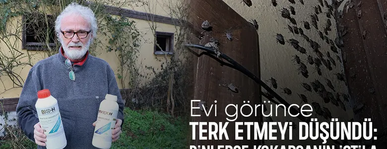 Kokarca kabusu son buldu