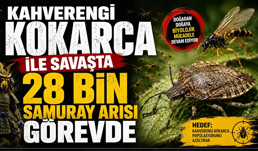 Kokarcaya karşı 28 bin doğal ordu sahada