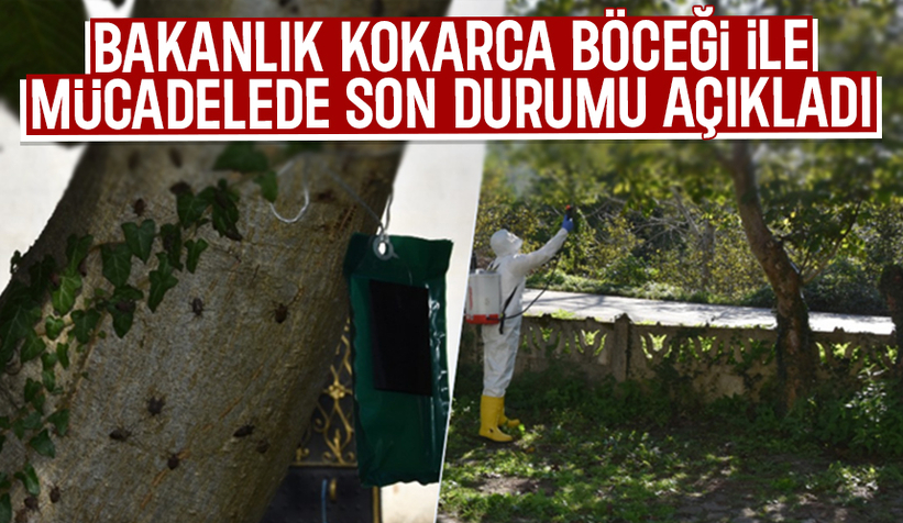 Kokarcayı bitirecek mücadele; 1 milyondan fazlası salındı
