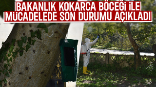 Kokarcayı bitirecek mücadele; 1 milyondan fazlası salındı