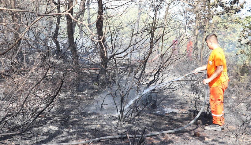Komşu orman yangınları ile boğuşuyor