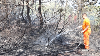 Komşu orman yangınları ile boğuşuyor
