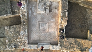 Komşuda bulundu; Heyecan uyandırdı