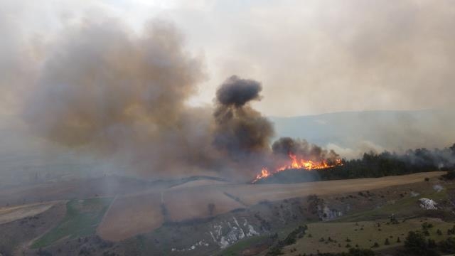 Komşuda büyük orman yangını