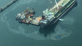 Komşuda çevre felaketi 5 milyon ceza yazıldı