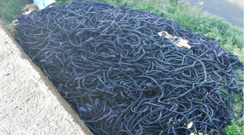 Komşuda kirlilik alarmı; 2 ton atık lastik ele geçirildi