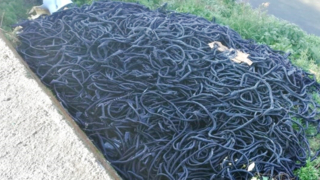 Komşuda kirlilik alarmı; 2 ton atık lastik ele geçirildi