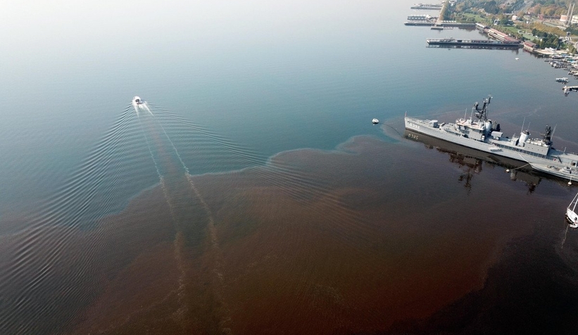 Komşuda korkutan görüntü; Kahverengiye döndü