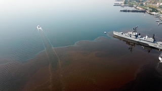 Komşuda korkutan görüntü; Kahverengiye döndü