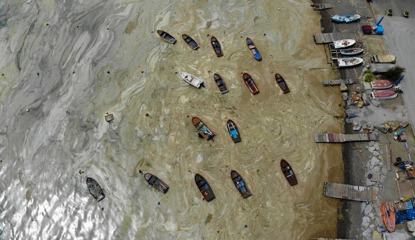 Komşuda korkutan görüntü; Tamamen kapladı