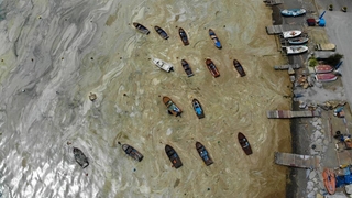 Komşuda korkutan görüntü; Tamamen kapladı