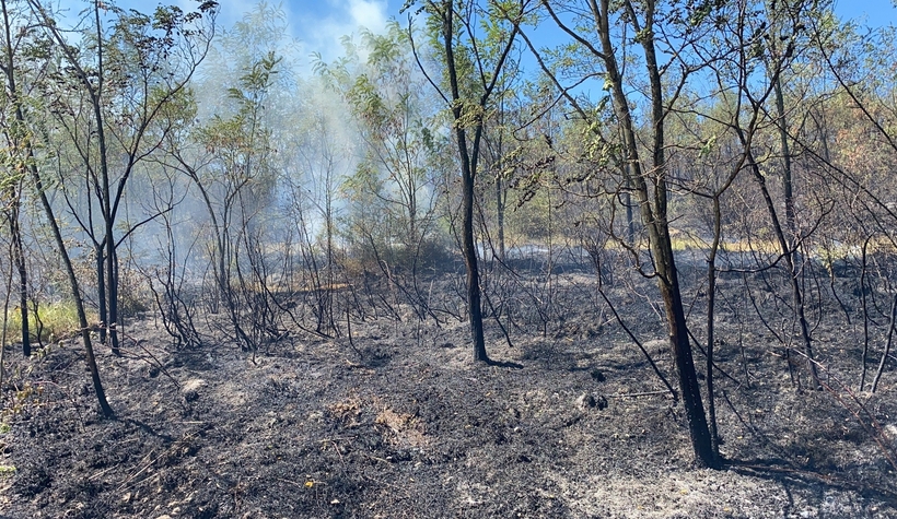 Komşuda orman yangını 4 hektar kül oldu