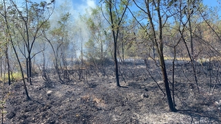 Komşuda orman yangını 4 hektar kül oldu