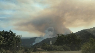 Komşuda orman yangını