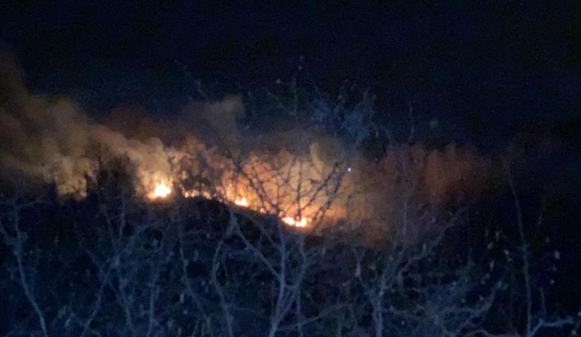 Komşuda orman yangını