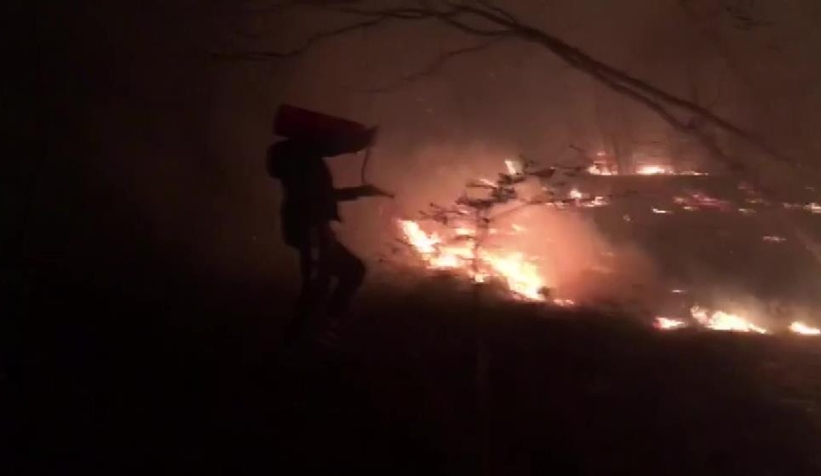 Komşuda orman yangını