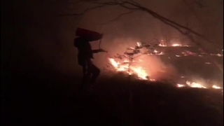 Komşuda orman yangını